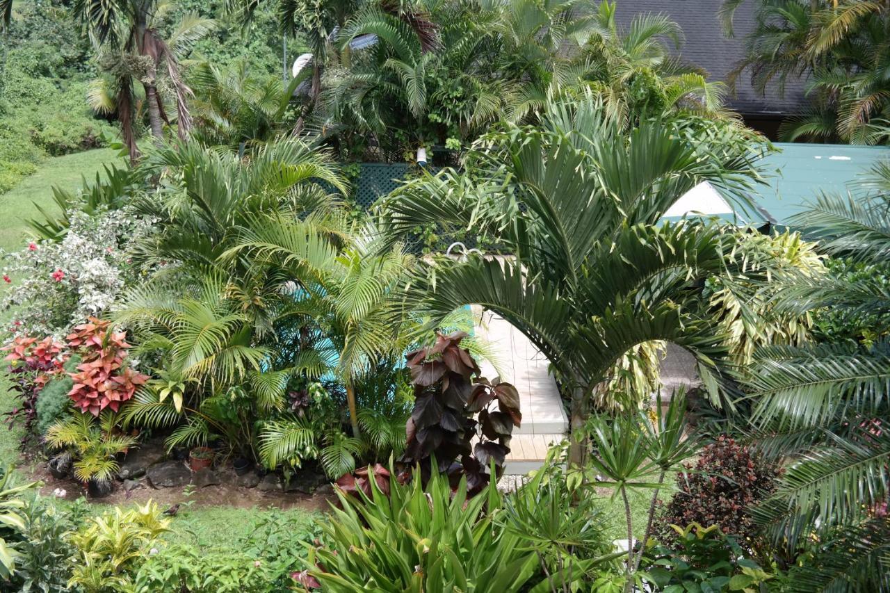 Muri Retreat Apartments Rarotonga Eksteriør bilde