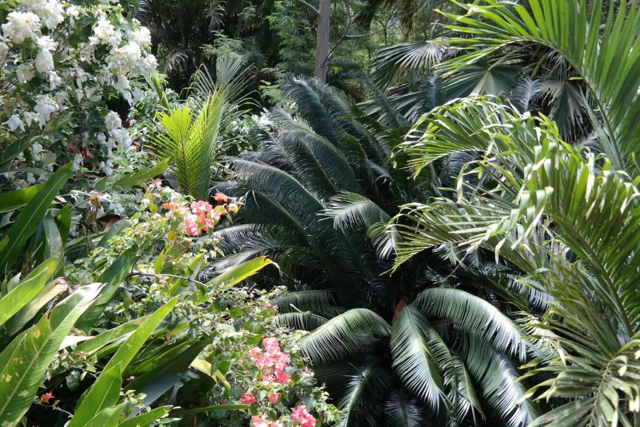 Muri Retreat Apartments Rarotonga Eksteriør bilde