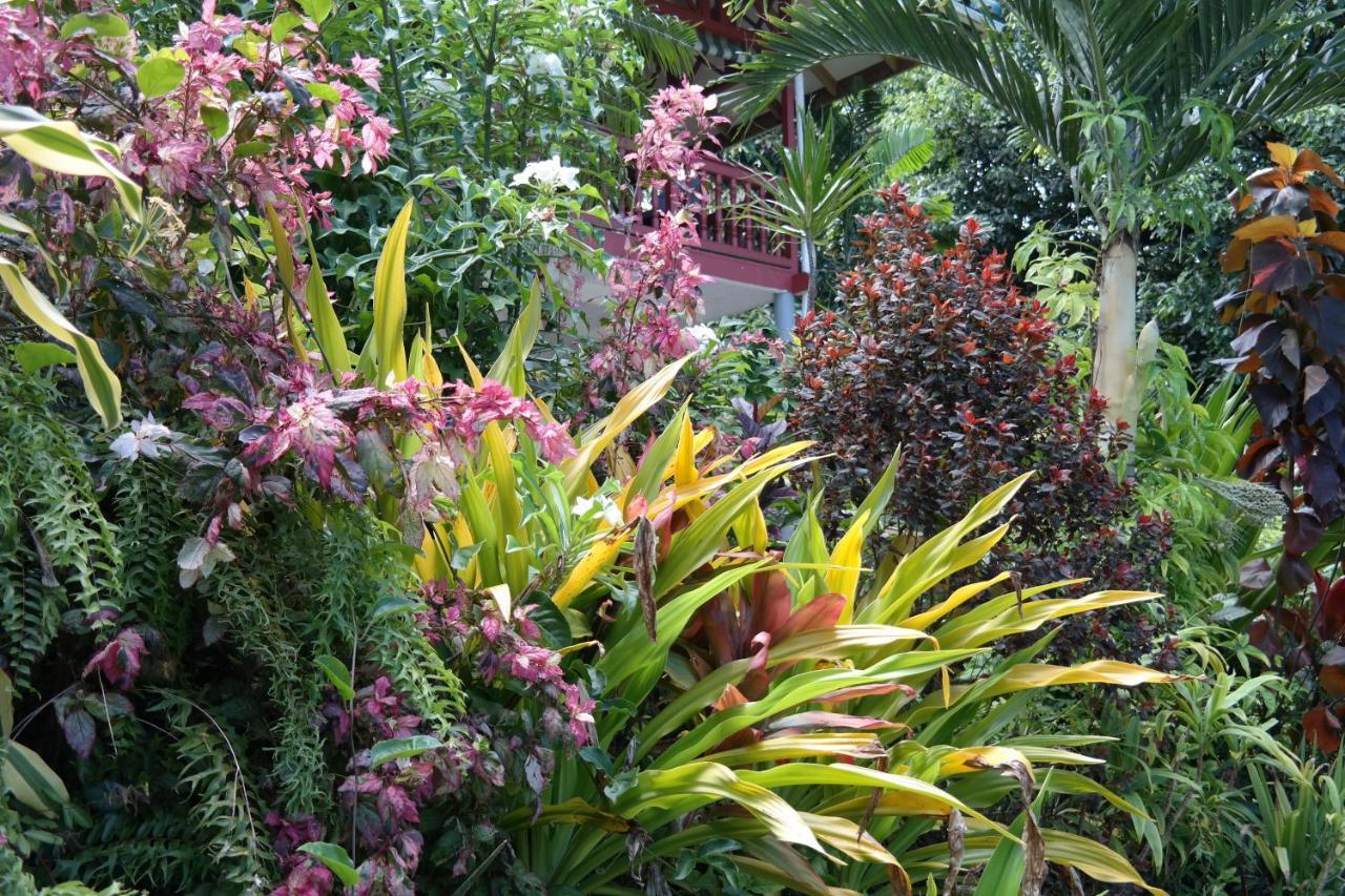 Muri Retreat Apartments Rarotonga Eksteriør bilde