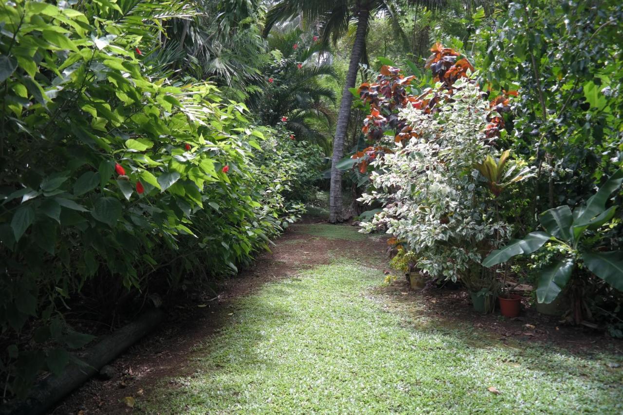 Muri Retreat Apartments Rarotonga Eksteriør bilde